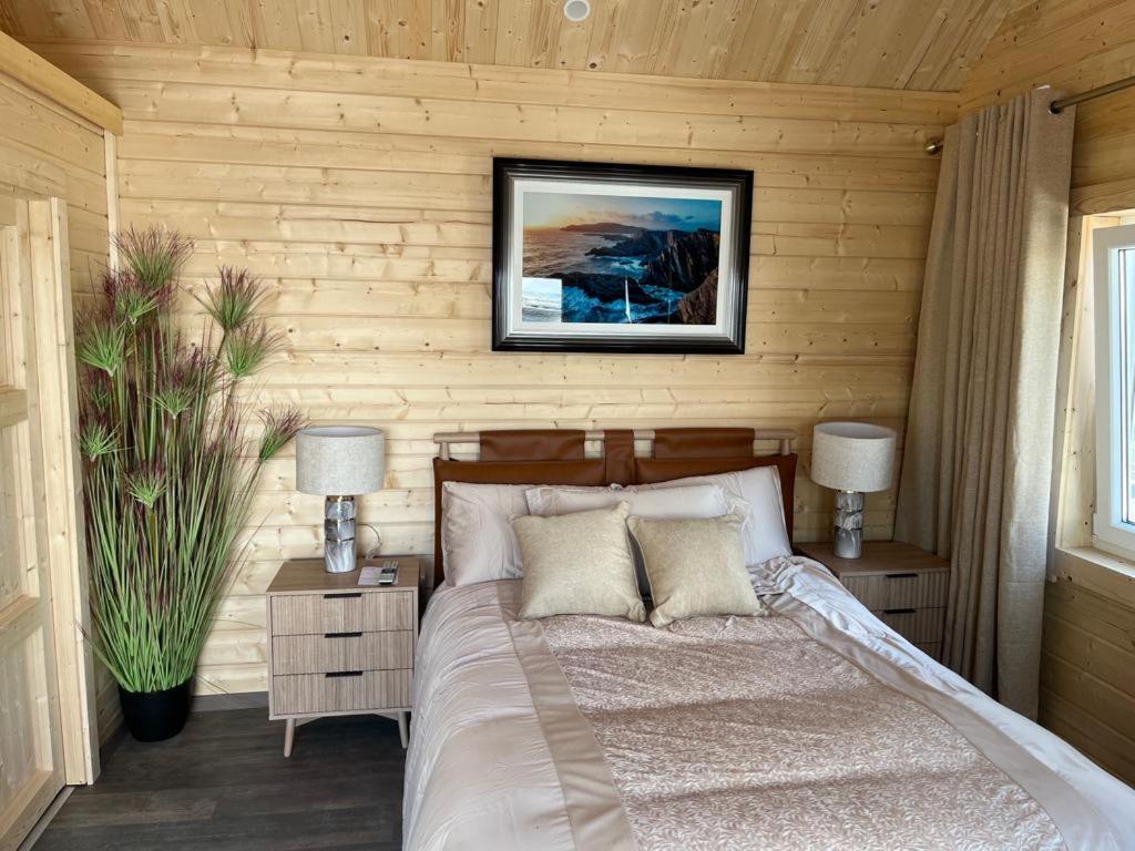 Milltown House Dingle Hotel Екстериор снимка