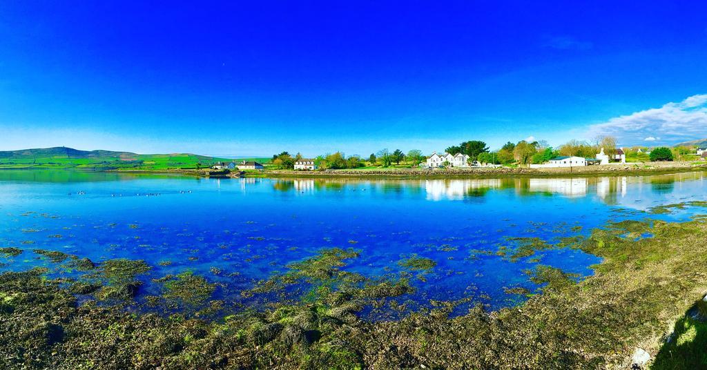 Milltown House Dingle Hotel Екстериор снимка