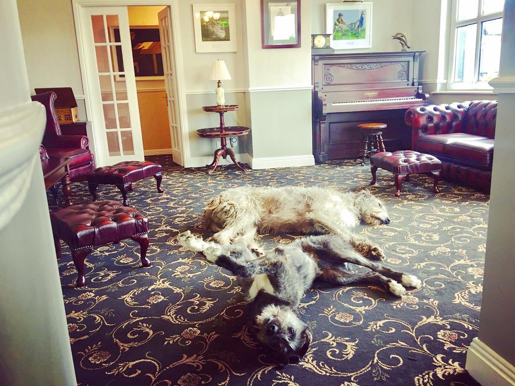 Milltown House Dingle Hotel Екстериор снимка